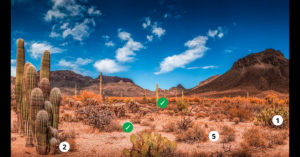 Interactive exercise to discover species living in an desert environment